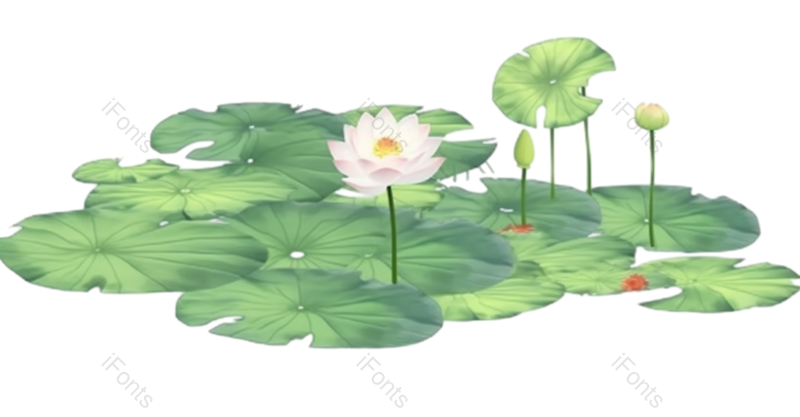 叶子图片,装饰元素,荷花PNG,夏天免抠素材